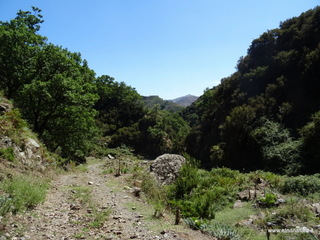 Torrente Vacco